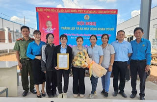 Bình Phước: Tập trung công tác phát triển đoàn viên, thành lập công đoàn cơ sở
