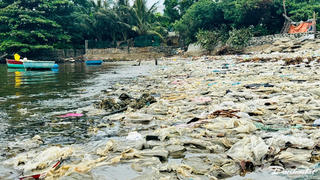 Quảng Ngãi: Rác thải tràn ngập bờ biển An Vĩnh
