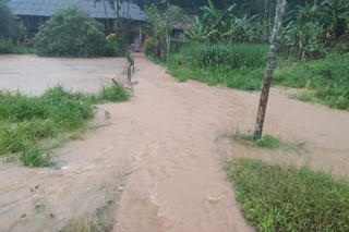 Yên Bái thiệt hại nặng do mưa lớn kéo dài