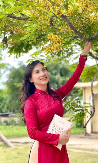 Quảng Nam: Mùa hoa sưa khoe sắc vàng rực rỡ