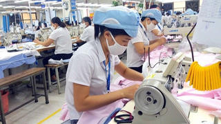 Ai chịu trách nhiệm?