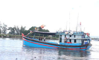 Quảng Ngãi: Đề xuất cấm đánh bắt có thời hạn 5 khu vực biển ven bờ