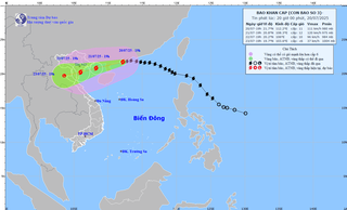 Hà Nội: Bão số 3 tăng cấp, lãnh đạo các phường, xã cần chủ động lên phương án ứng phó