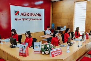 Agribank thu hồi và bán đấu giá nhiều lô đất TP HCM xử lý nợ