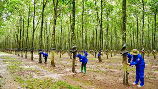 DAKRUCO: Vượt qua sóng gió, tự tin bước vào giai đoạn phát triển mới