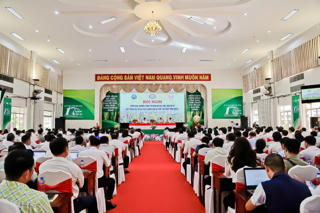 Agribank sẵn sàng nguồn vốn phục vụ Đề án 1 triệu héc ta lúa chất lượng cao