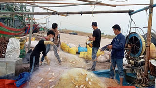 Ngư dân Quảng Ninh: Kỳ vọng mùa biển mới