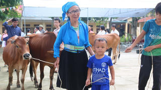 Tuyên Quang: Ngày vui nhận bò