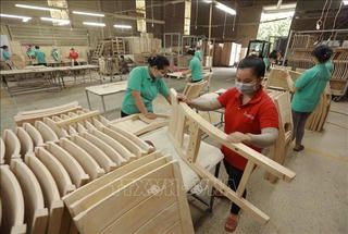 Ngành gỗ: Minh bạch, đáp ứng yêu cầu truy xuất nguồn gốc