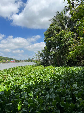 Hải Phòng: Phó Giám đốc TT Phát triển quỹ đất huyện Kiến Thụy quyên sinh