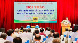 Bình Thuận: Hội thảo ‘Giải pháp liên kết sản xuất lúa thích ứng với biến đổi khí hậu’