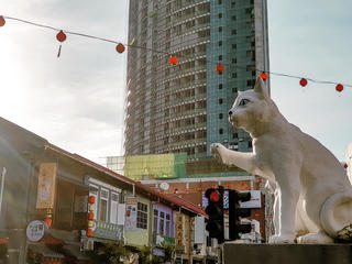 Có một thành phố nơi loài mèo được xuất hiện ở khắp mọi nơi