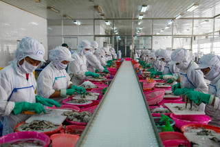 Xuất khẩu thủy sản: Kịch bản cho tăng trưởng bền vững