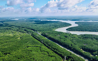 Phát huy giá trị nguồn lợi từ rừng