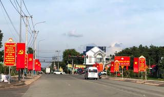 Sức sống mới từ các mô hình