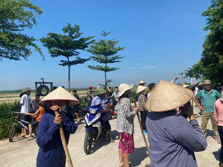 Phú Thọ: Lùm xùm chuyện hàng nghìn cây bạch đàn bị chặt hạ