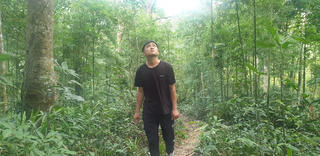 Giữ rừng lim ở Tân Dân