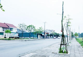 Hà Tĩnh đang tổng hợp báo cáo về Dự án trồng cây xanh theo yêu cầu của Bộ Công an
