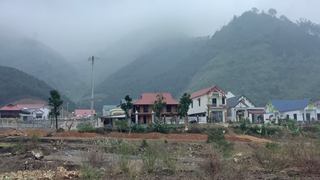 Đổi thay nhờ quế