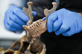 Hé lộ dòng dõi loài người chưa từng được biết đến