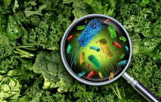 Nhiễm giun sán vì sở thích ăn rau sống