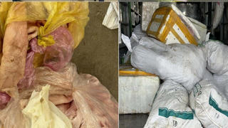 Tài xế vận chuyển 1,6 tấn bì lợn hôi thối