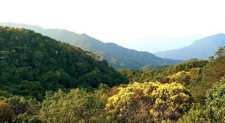 Vườn quốc gia Bạch Mã cho thuê hơn 2.500 ha rừng để kinh doanh du lịch, nghỉ dưỡng