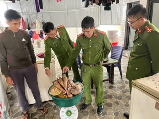 Bắt quả tang cơ sở kinh doanh ở Hà Tĩnh chứa hơn 400 kg động vật bốc mùi hôi thối