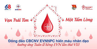 Đông đảo CBCNV EVNNPC hiến máu nhân đạo hưởng ứng Tuần lễ hồng EVN lần thứ VIII