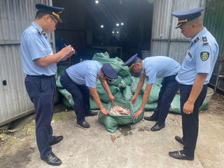 Quảng Ninh: Ngăn chặn hơn 7,8 tấn chân gà trôi nổi chuẩn bị tiêu thụ