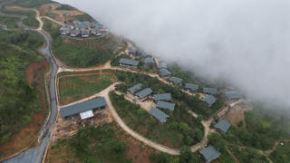 Lào Cai: Phá rừng tự nhiên, xây dựng trái phép ở Khu du lịch Biển Mây