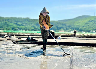 Miệt mài trên cánh đồng muối Sa Huỳnh