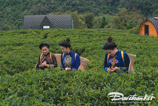 Cao Bằng: Chủ thể sản xuất nhận thức được giá trị của sản phẩm OCOP