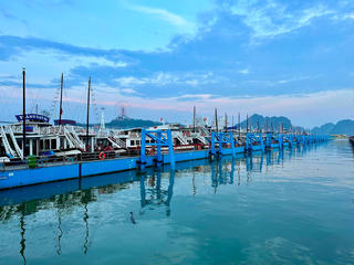 Quảng Ninh: Nâng cao chất lượng đội tàu du lịch hoạt động trên vịnh