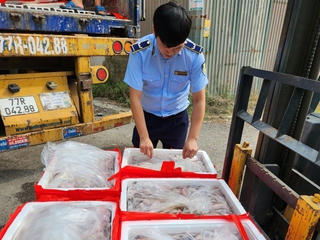 Phát hiện xe tải chở 4,5 tấn cá khoai ướp formol