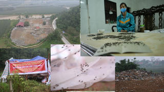 Phú Thọ: Ruồi muỗi đen kịt, dân ăn cơm phải mắc màn vì... ô nhiễm