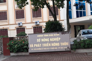 Phó Thủ tướng chỉ đạo xác minh thông tin lãnh đạo Sở ở Bắc Ninh chơi golf trong giờ hành chính