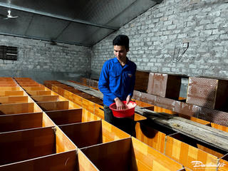 Chàng trai người Dao làm giàu nhờ nuôi dúi