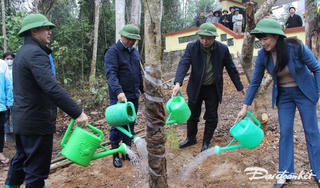 Tỉnh Thái Nguyên phát động 'Tết trồng cây đời đời nhớ ơn Bác Hồ'
