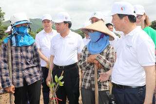 Quảng Ninh: Trồng rừng ngập mặn, thả cá hưởng ứng ngày môi trường