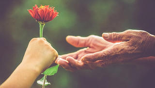 Lương thiện và tử tế