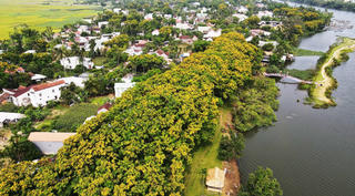 Du lịch xanh ở Quảng Nam