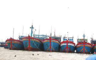 Quảng Nam: Còn 37 tàu thuyền đang hoạt động trên biển