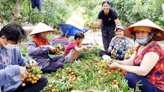 Làm giàu từ du lịch trải nghiệm