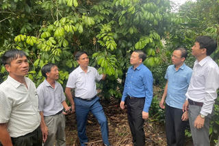 Vĩnh Phúc: Học tập, trao đổi kinh nghiệm về công tác quản lý, chỉ đạo thực hiện Chương trình MTQG 1719