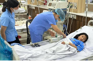 Hải Phòng: Bị ong đốt khi dừng đèn đỏ, nhiều người phải nhập viện