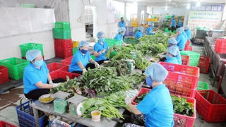 Tăng cường bảo đảm an ninh, an toàn thực phẩm