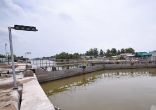 "Tường thành" bảo vệ vùng ngọt trong đỉnh mặn khốc liệt