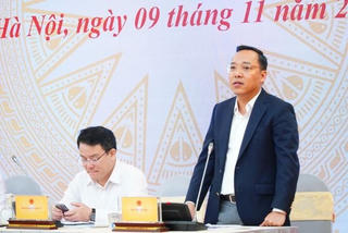 Sẽ chặn Temu, Shein nếu không hoàn thành đăng ký trong tháng 11/2024