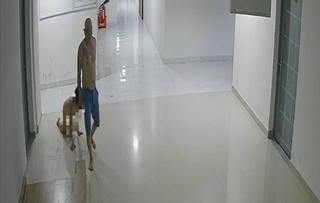 Lâm Đồng: Khởi tố người cha hành hạ dã man con trai ruột của mình